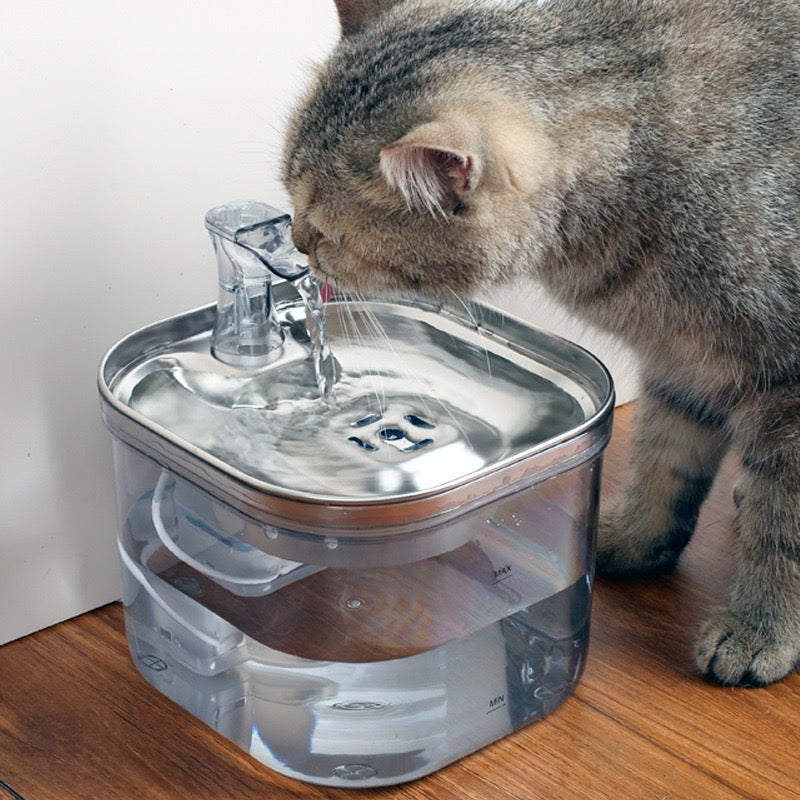 Pet Water Fountain
