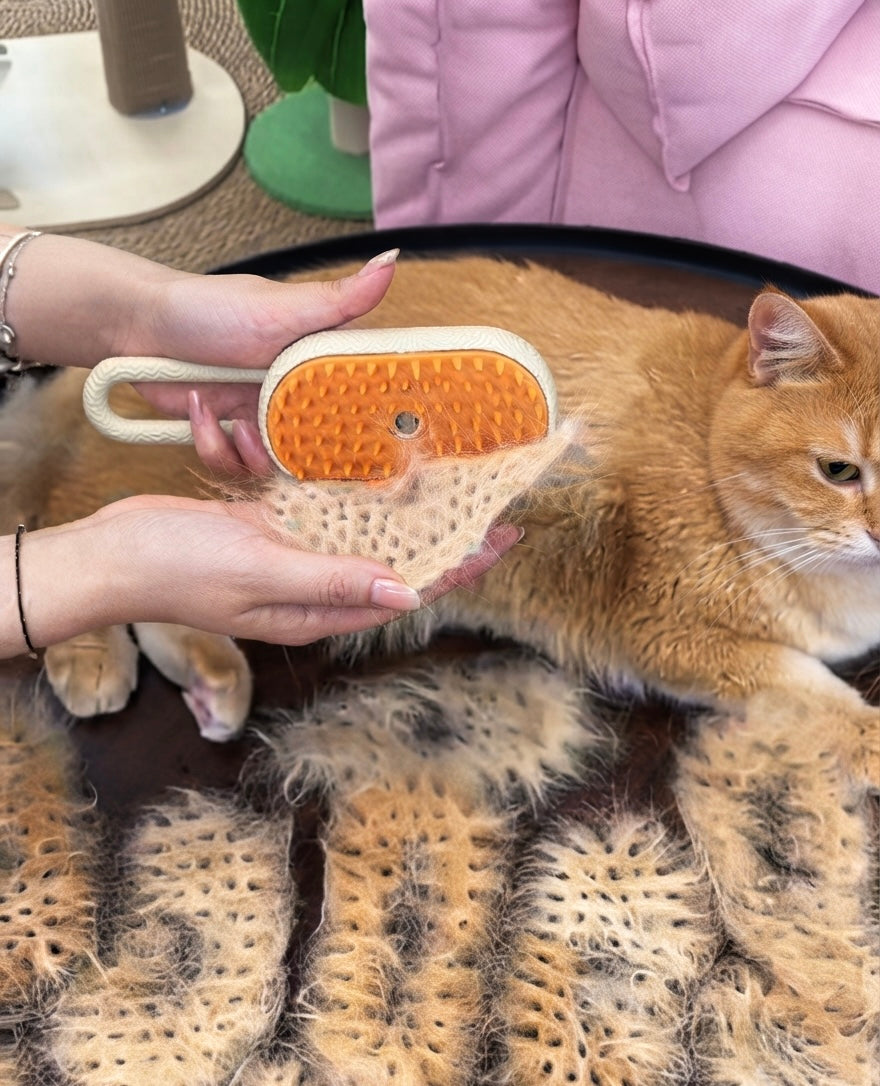 Pet Steam Grooming Brush