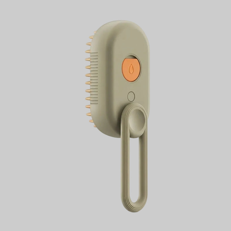 Pet Steam Grooming Brush