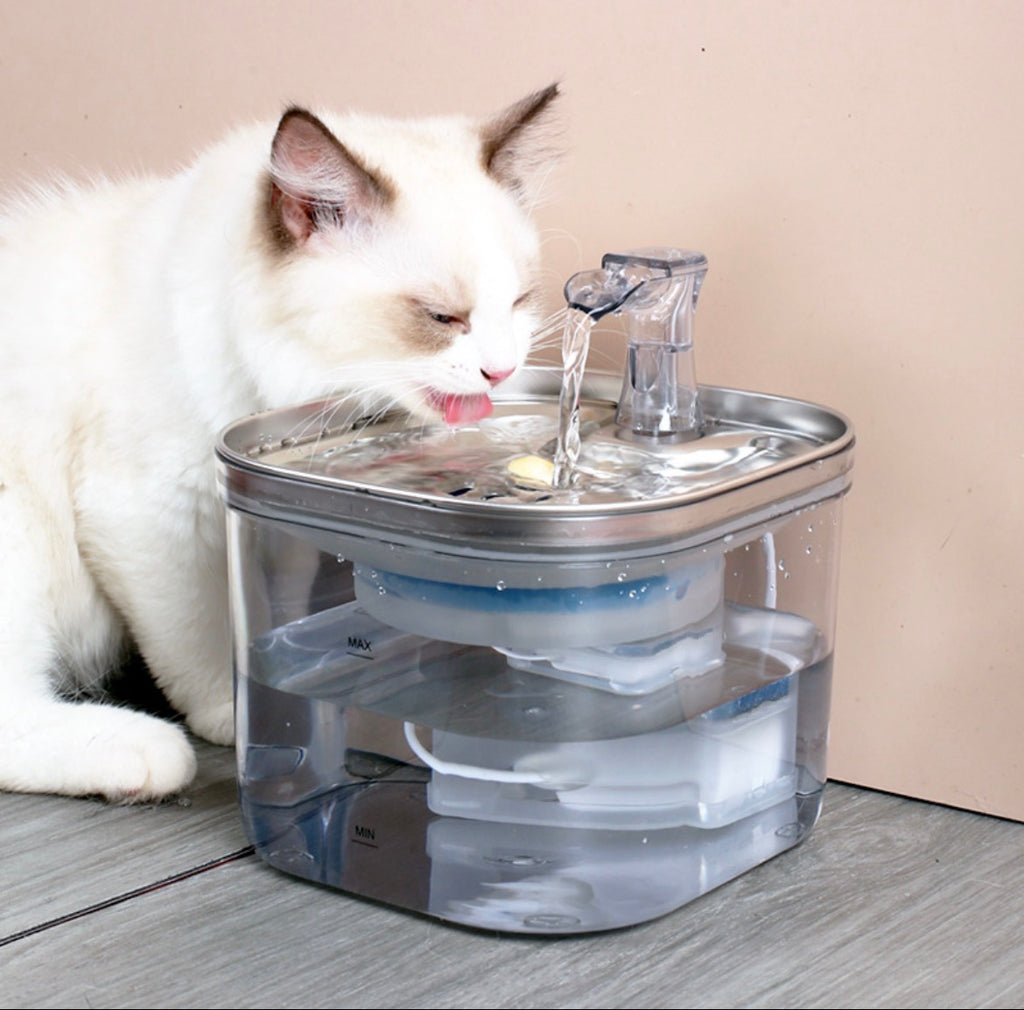 Pet Water Fountain